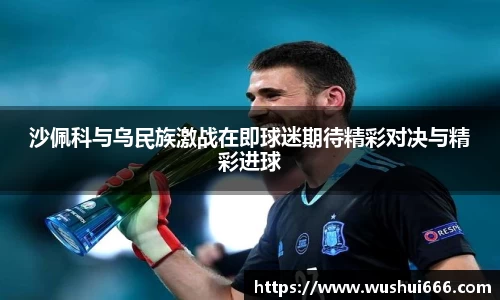 沙佩科与乌民族激战在即球迷期待精彩对决与精彩进球